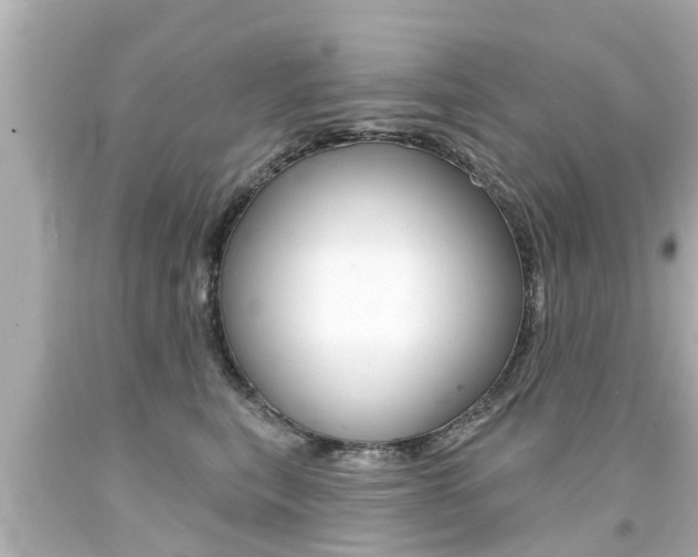 X0000094380567200711020828