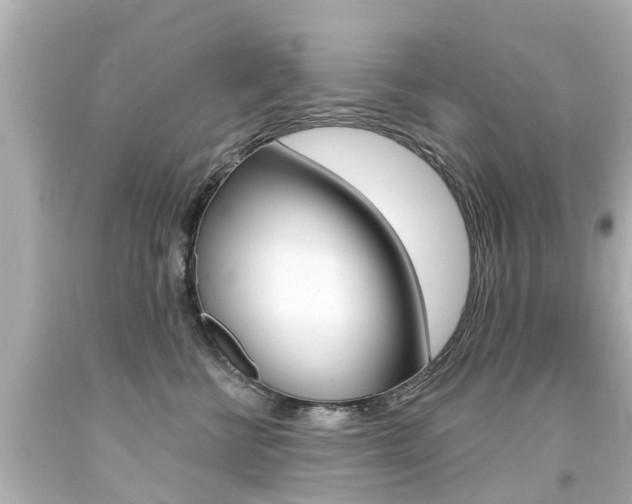 X0000094380570200711020828