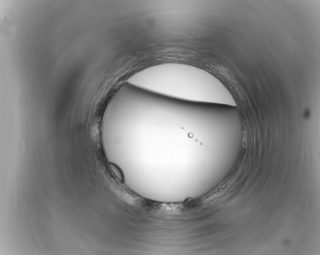 X0000094380573200711020828