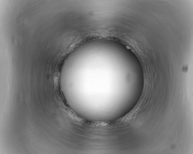 X0000094380576200711020828