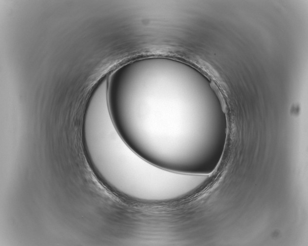 X0000094380577200711020827