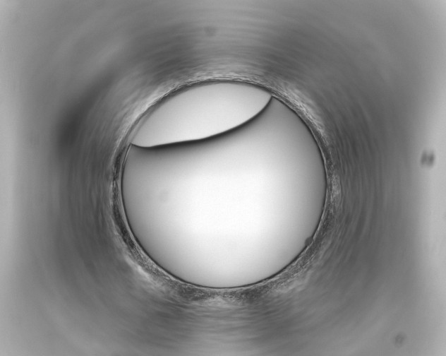 X0000094380578200711020827
