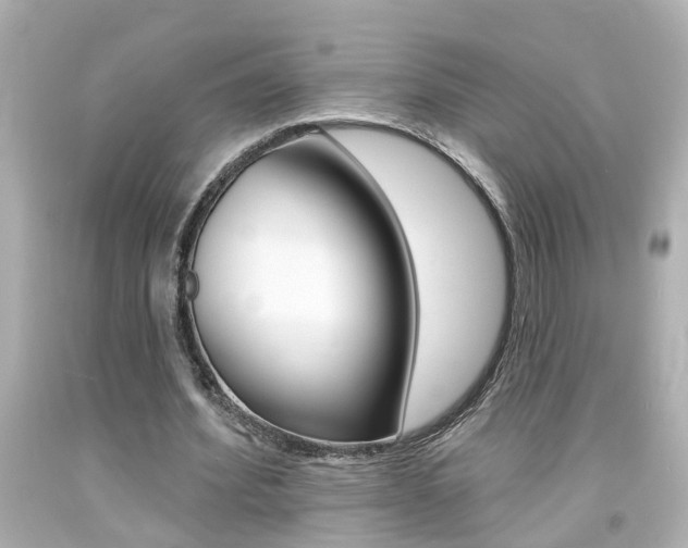 X0000094380580200711020827