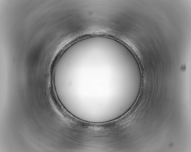 X0000094380582200711020827