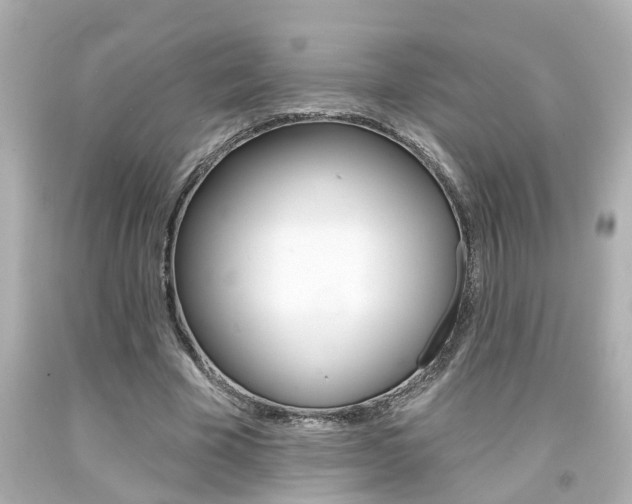 X0000094380585200711020827