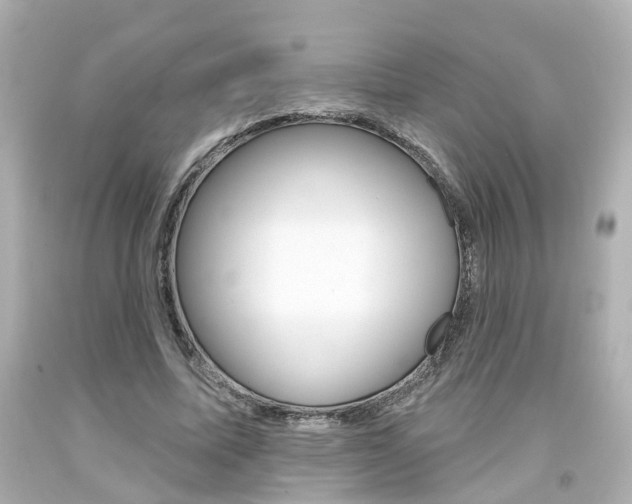 X0000094380587200711020827