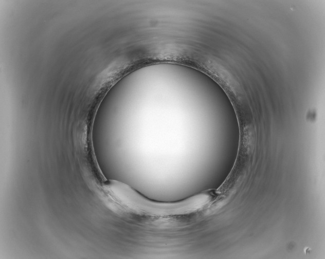 X0000094380589200711020827