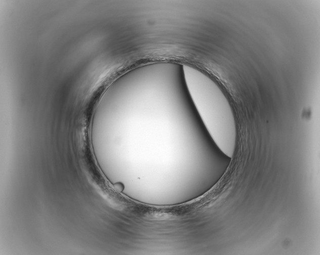 X0000094380590200711020827