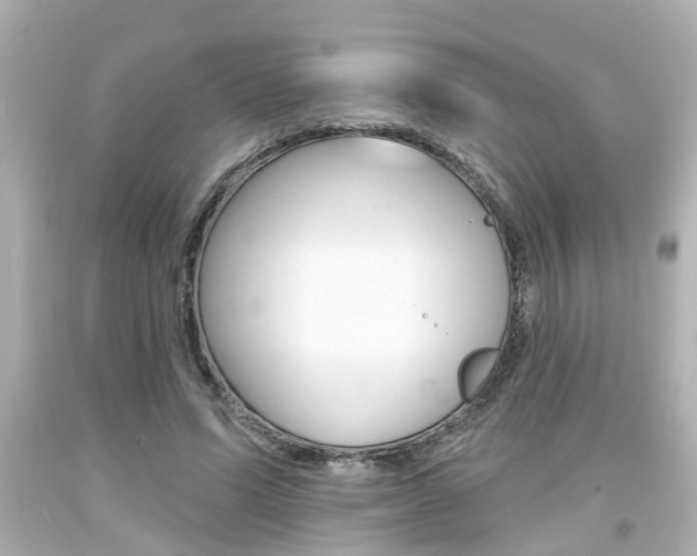X0000094380591200711020827