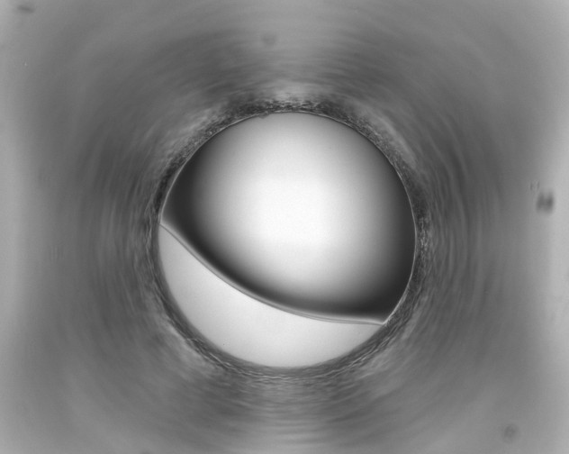 X0000094380593200711020827