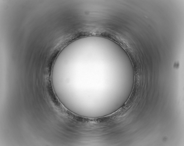 X0000094380594200711020827