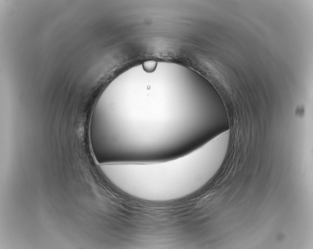 X0000094380595200711020827