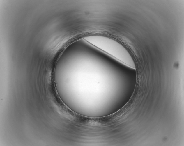 X0000094380596200711020827