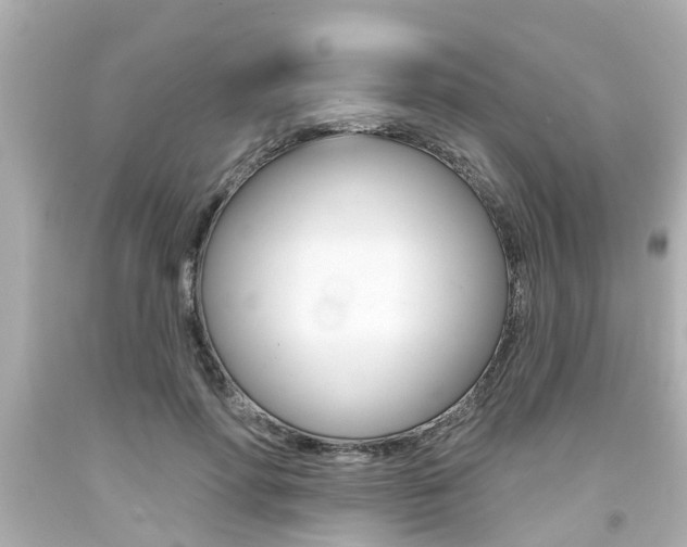 X0000094380598200711020827