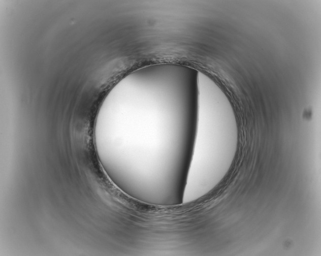 X0000094380599200711020827