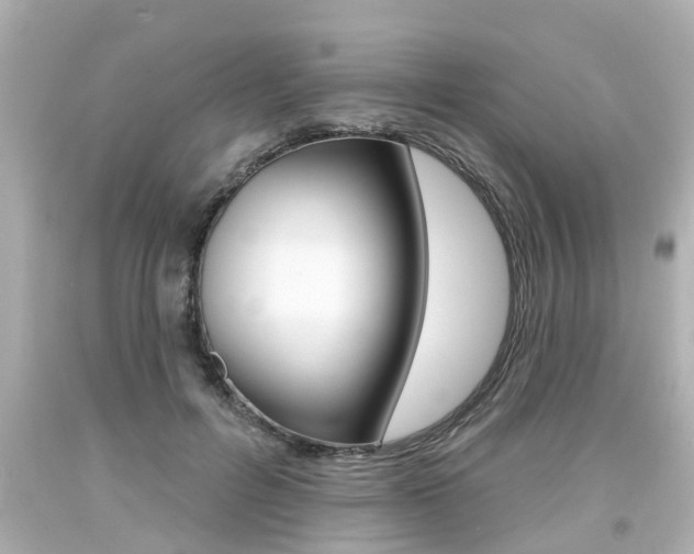 X0000094380600200711020827