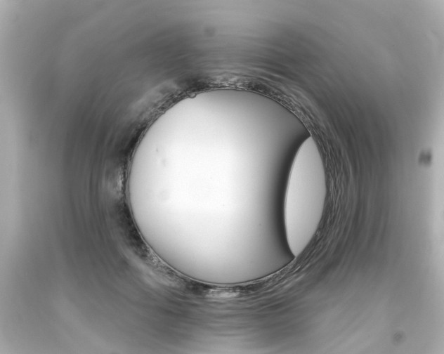 X0000094380602200711020827