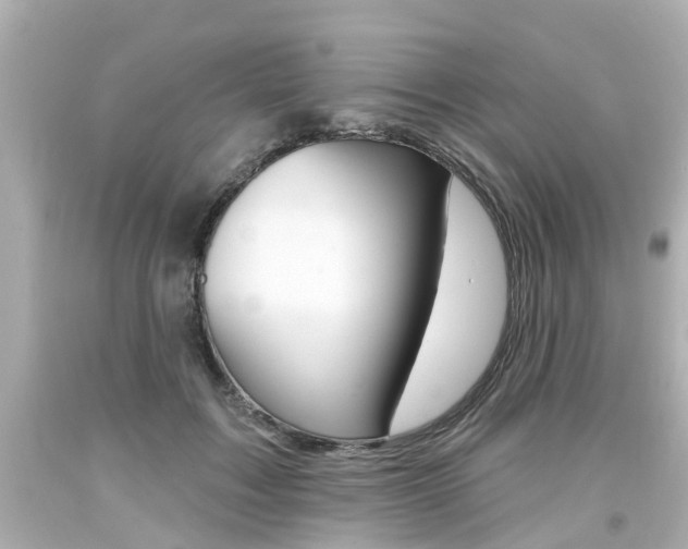X0000094380603200711020827
