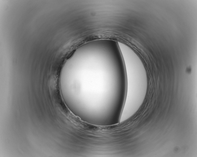 X0000094380604200711020827