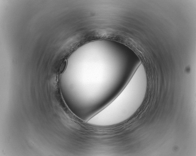 X0000094380605200711020827