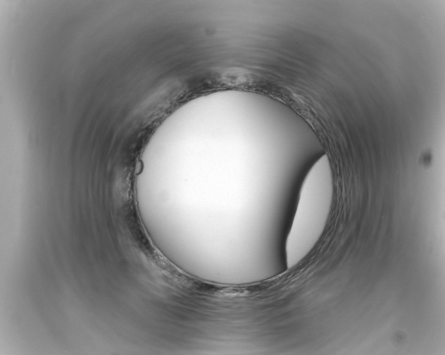 X0000094380606200711020827