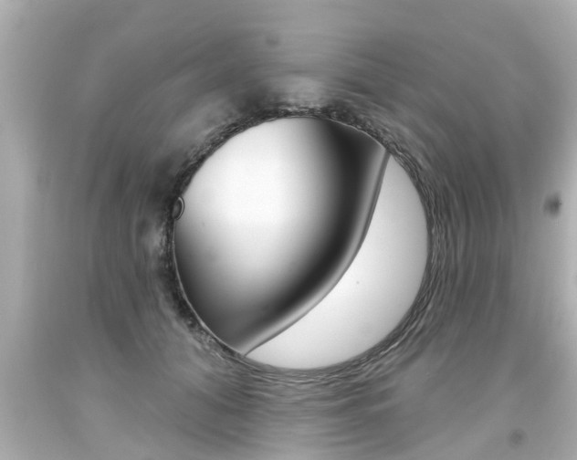 X0000094380608200711020827