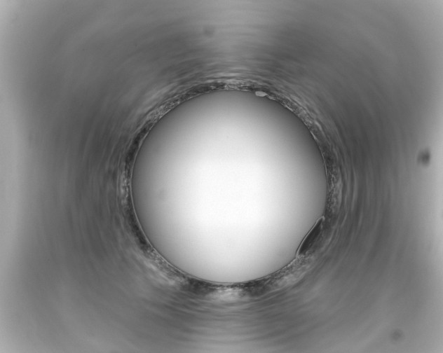 X0000094380609200711020827