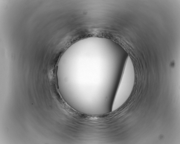 X0000094380611200711020827