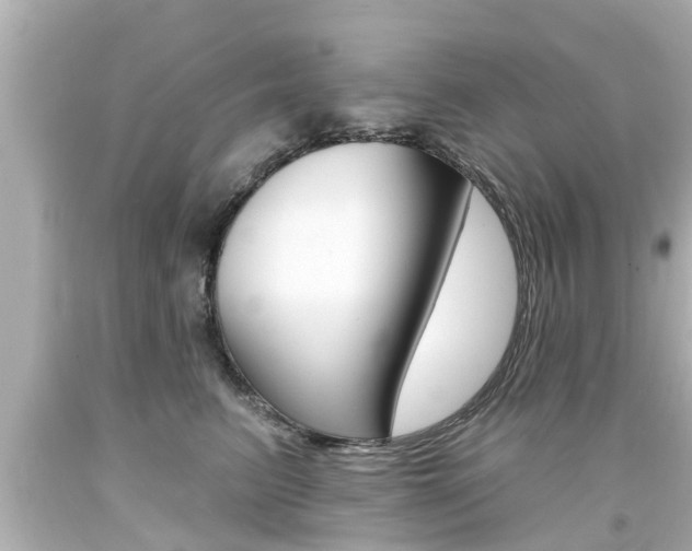 X0000094380615200711020827