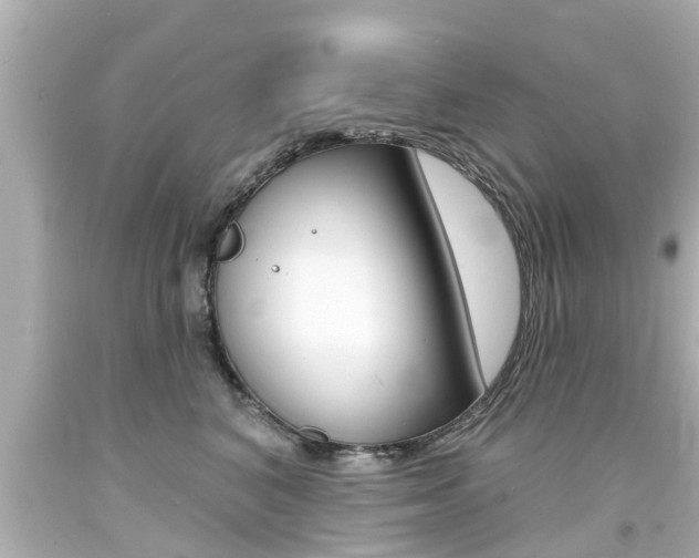 X0000094380616200711020826