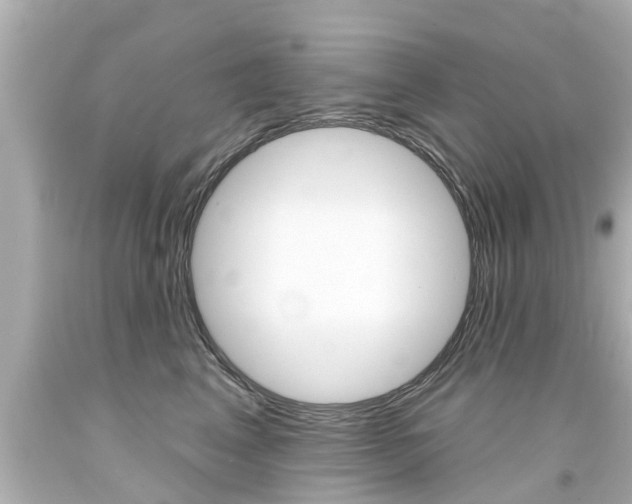 X0000094380617200711020826