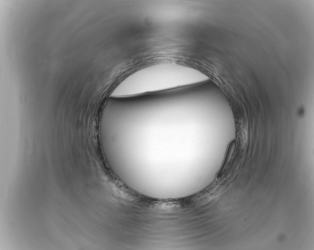 X0000094380619200711020826