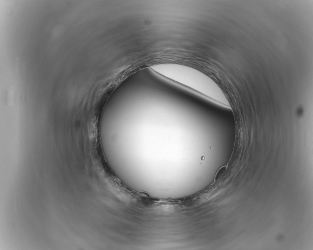 X0000094380620200711020826