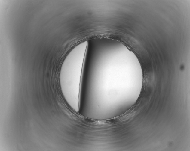 X0000094380623200711020826