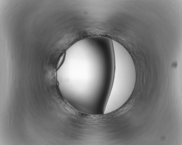 X0000094380624200711020826