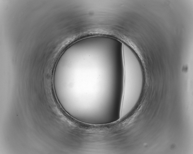 X0000094380625200711020826