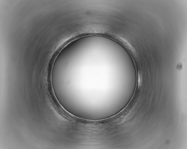 X0000094380627200711020826