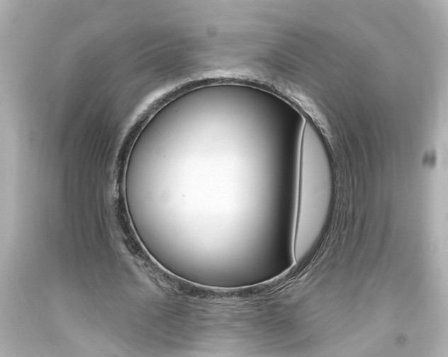 X0000094380628200711020826