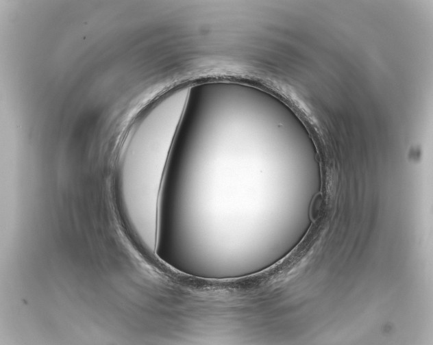 X0000094380629200711020826