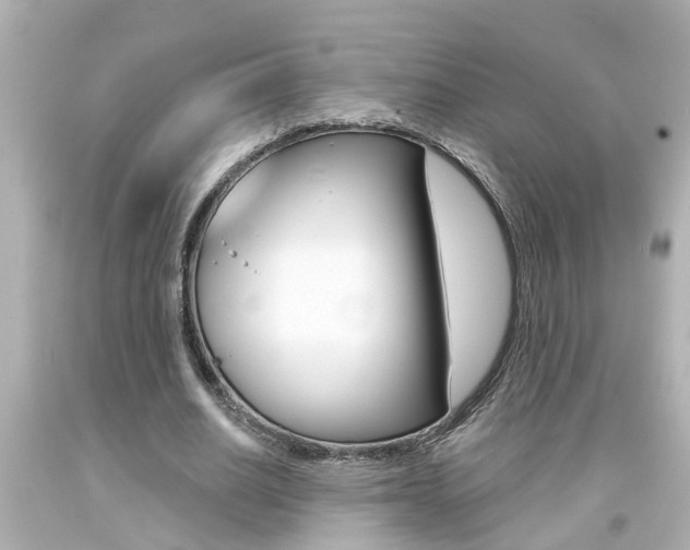 X0000094380630200711020826