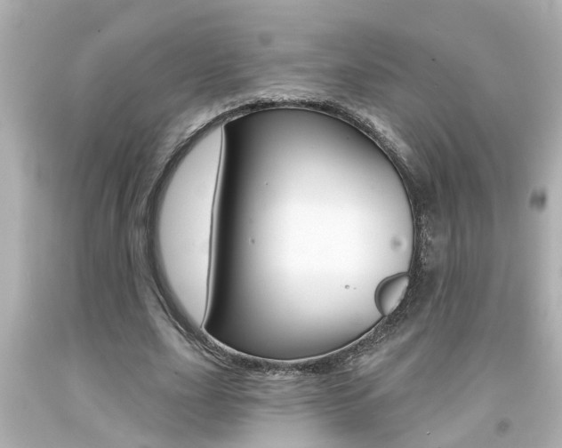 X0000094380631200711020826