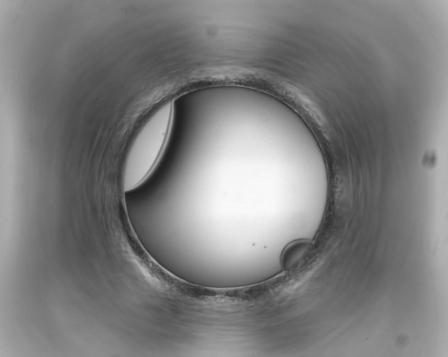 X0000094380633200711020826