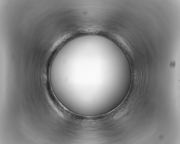 X0000094380634200711020826