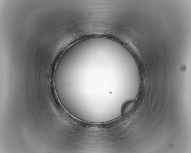 X0000094380635200711020826