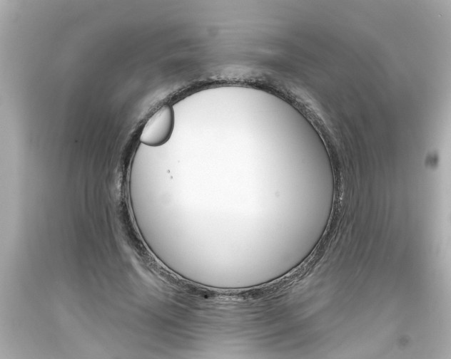 X0000094380636200711020826