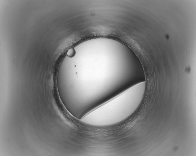 X0000094380638200711020826