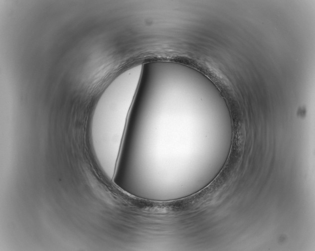 X0000094380639200711020826