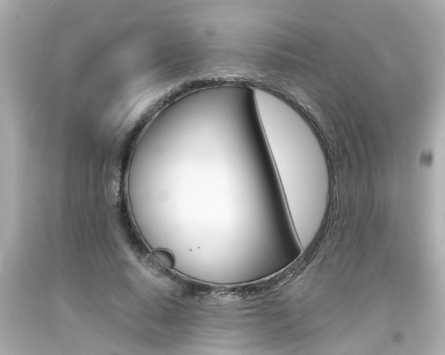 X0000094380640200711020826