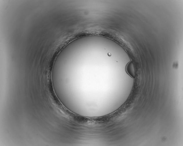 X0000094380641200711020826
