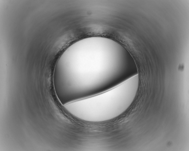 X0000094380642200711020826